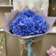 Синие гортензии Синие гортензии